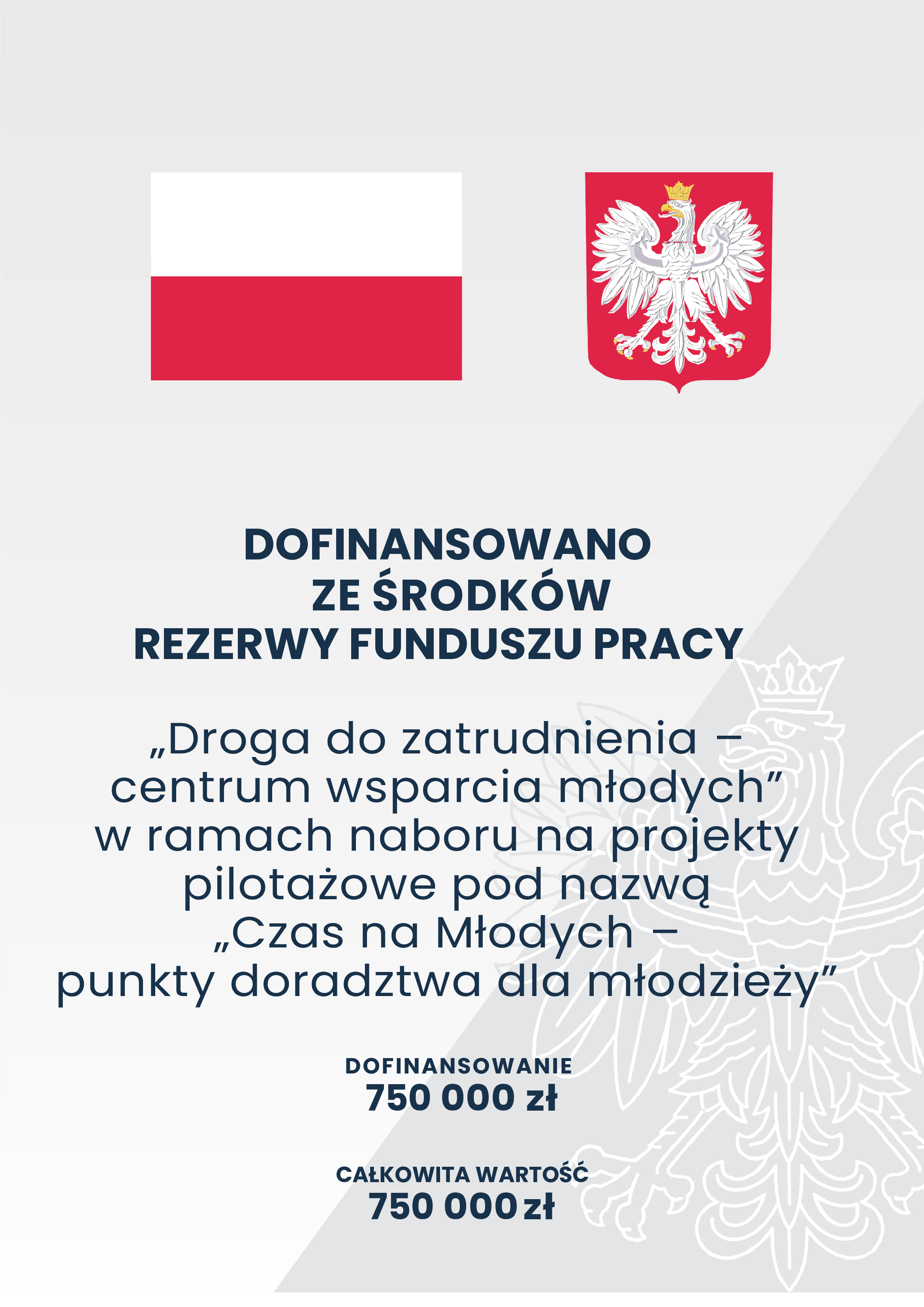 Plakat projektu pilotażowego- zawiera informację: nazwa projektu, kwota dofinansowania oraz loga: Flagę Polski oraz Godło.