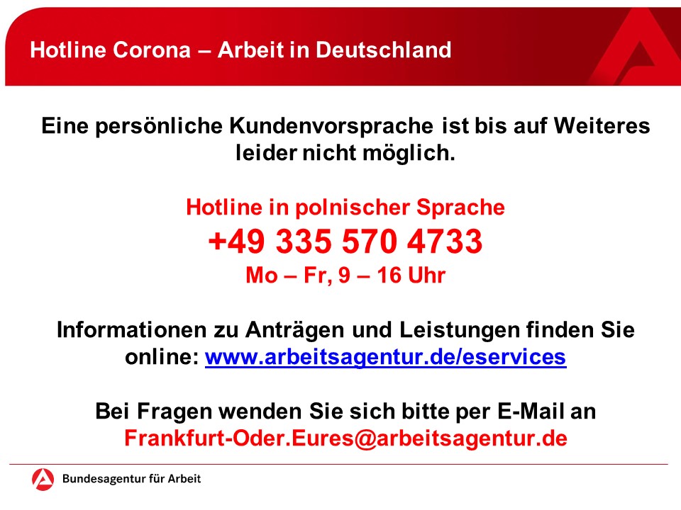 Koronawirus praca w Niemczech - plakat w języku niemieckim w którym podano kontakt w sprawie świadczeń, wniosków itp. Infolinia +493355704733, adres e-mail Frankfurt-Oder.Eures@arbeitsagentur.de, strona internetowa www.arbeitsagentur.de/eservices